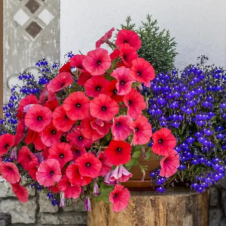 Garni Jasmin 2* Сан-Кассиано