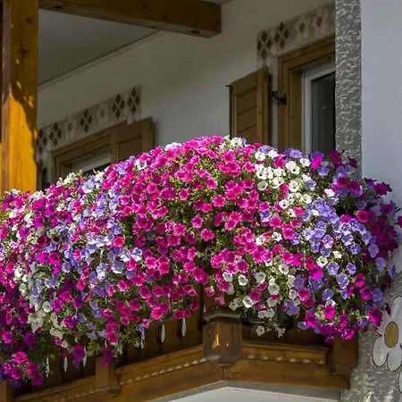 Garni Jasmin Отель 2*